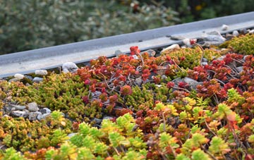 the cost of Burbage green roof installation
