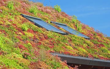 Burbage living roof systems