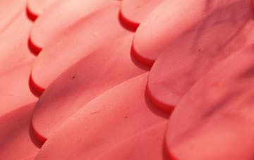 Burbage plastic roof costs