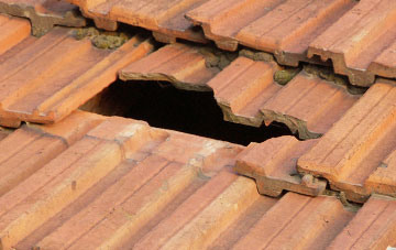 roof repair Burbage
